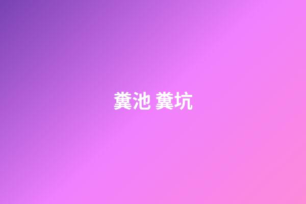 糞池 糞坑